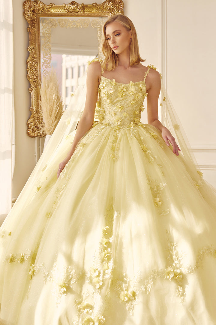 Juliet 1436 attached cape 3D floral applique ball gown quinceanera dress front view, option 3