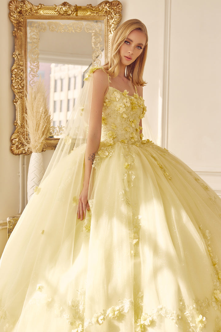Juliet 1436 attached cape 3D floral applique ball gown quinceanera dress front view, option 7