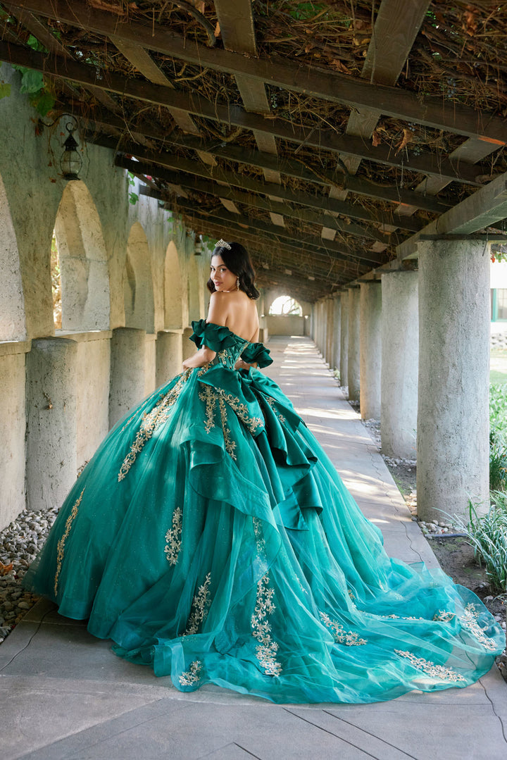 Juliet JT1504J ball gown back view with train