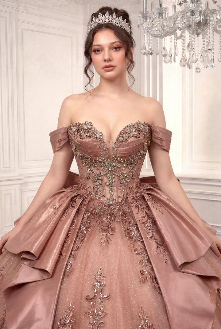 Ladivine 15745 floral appliqué bodice detail in rose