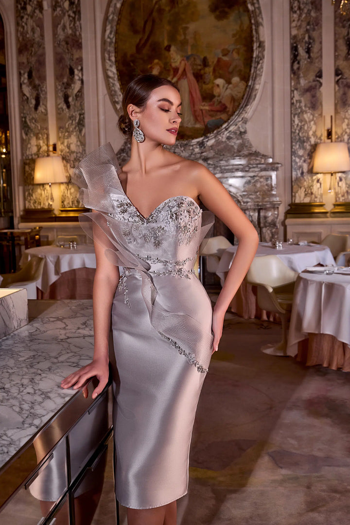 Terani 242C3039 Dress - FOSTANI.com