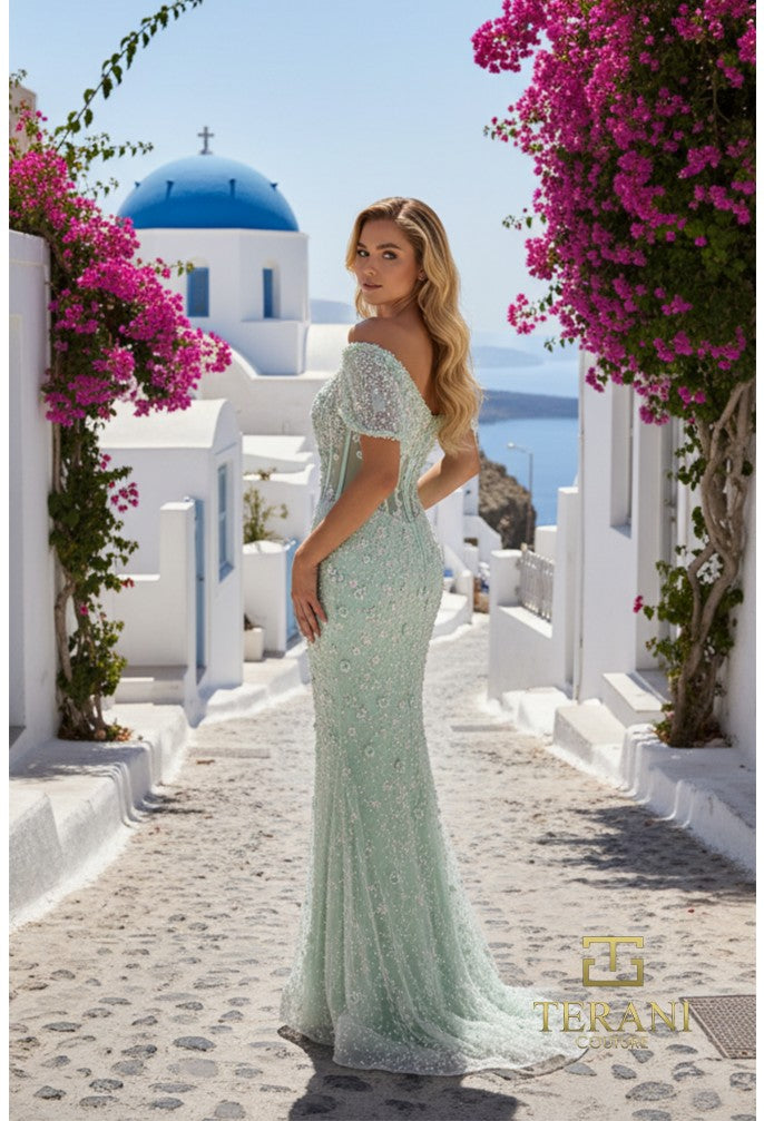 Terani 261GL6756 Dress - FOSTANI.com