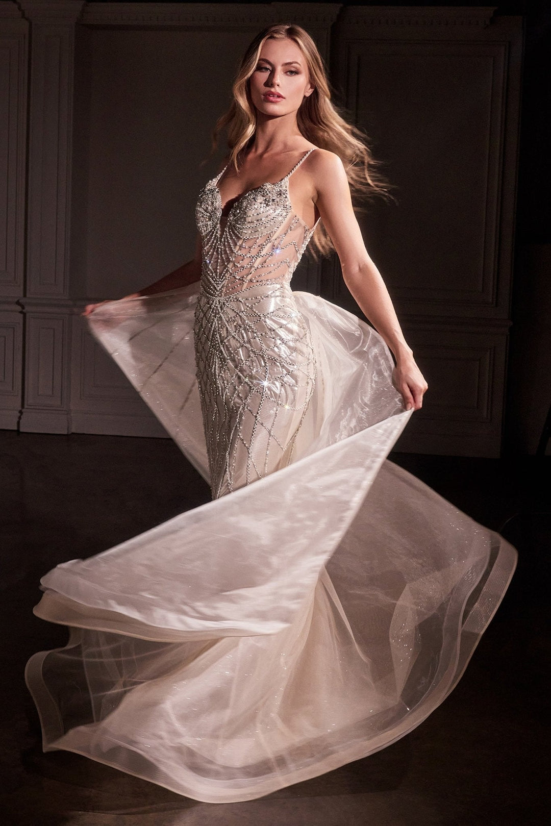 Ladivine CD763 Dress