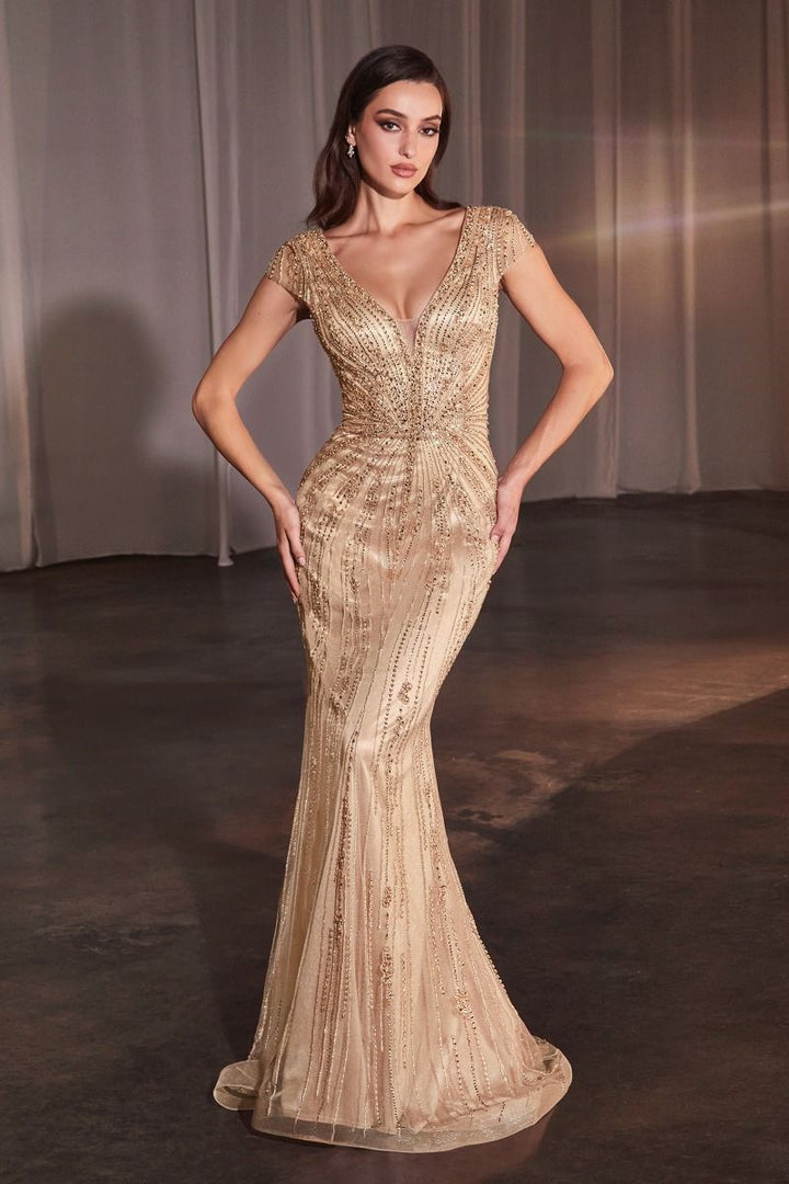 Cinderella Divine CZ0029 Dress - FOSTANI.com