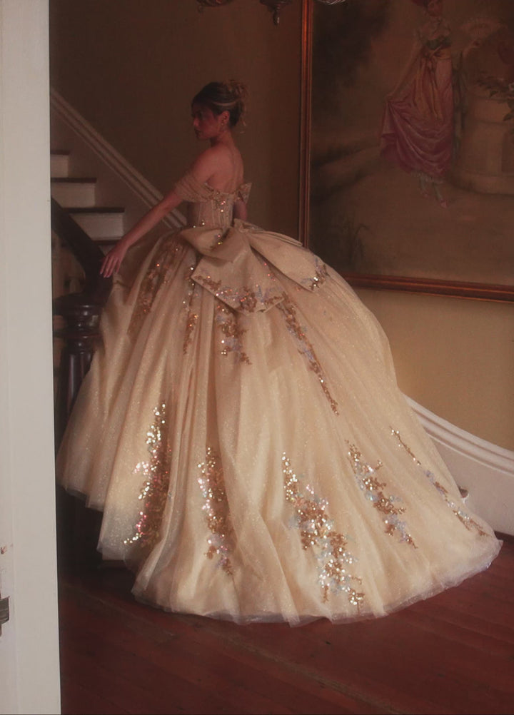 Rachel Allan RQ2224 Dress