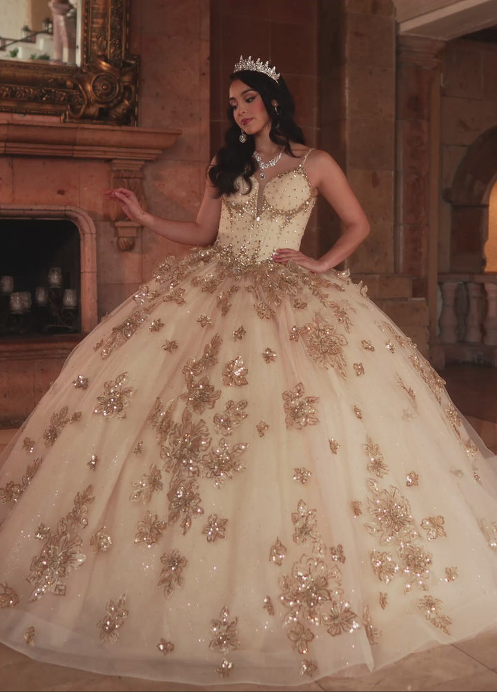 Rachel Allan RQ1149 Dress