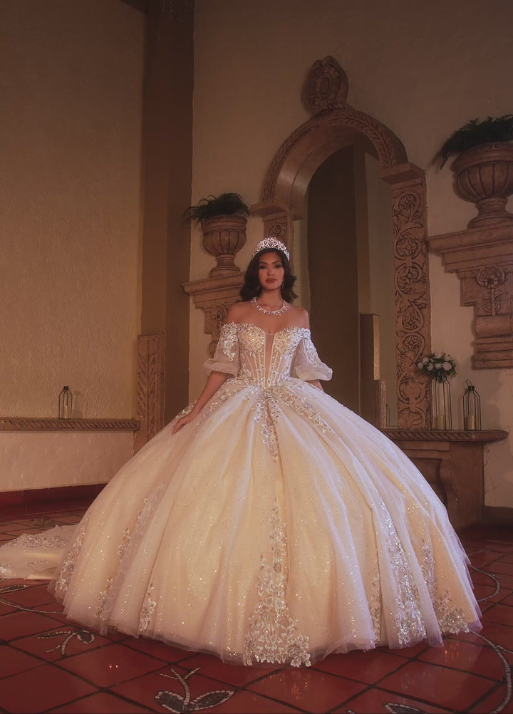 Rachel Allan RQ1165 Dress