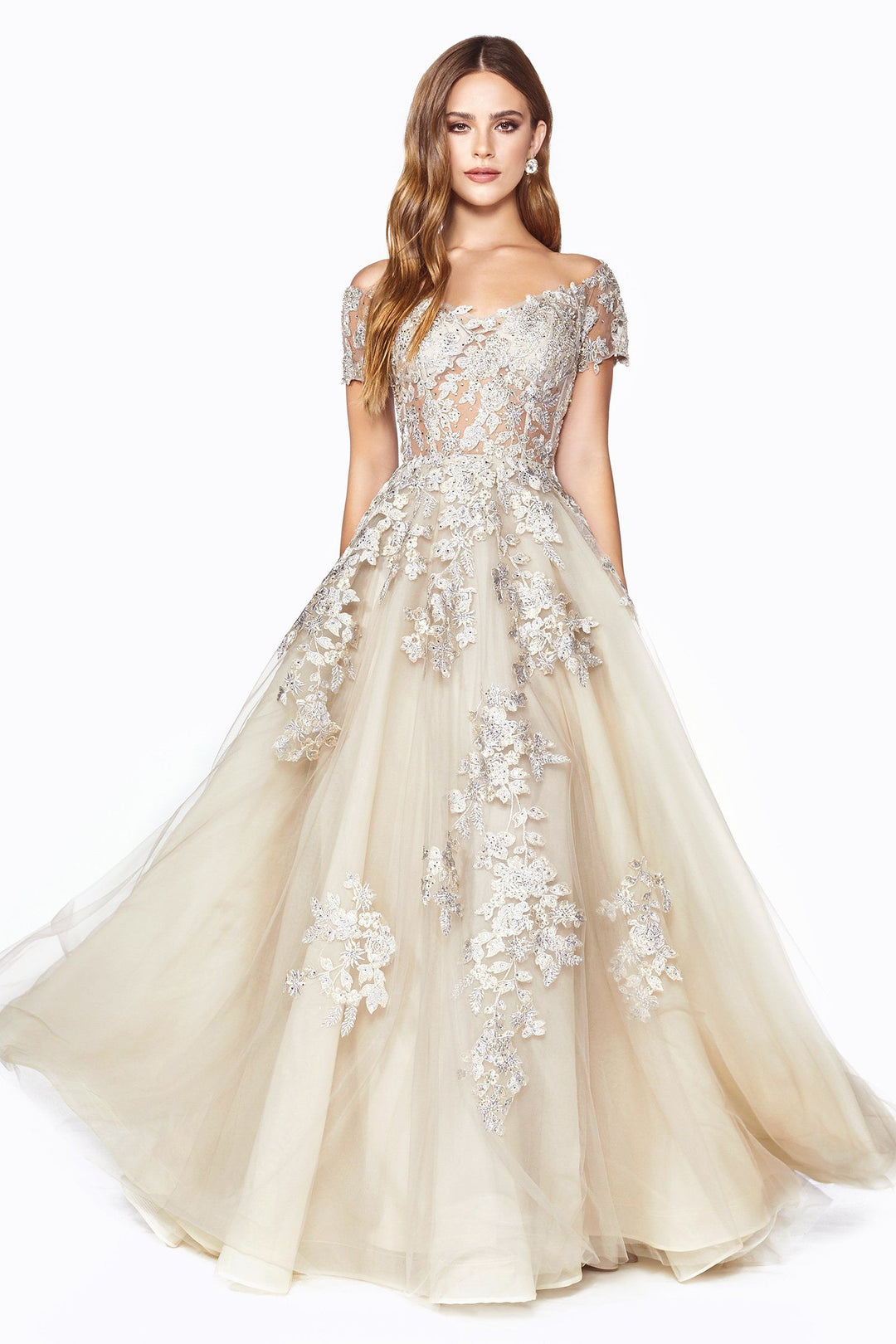 Cinderella Divine C20 Dress - FOSTANI