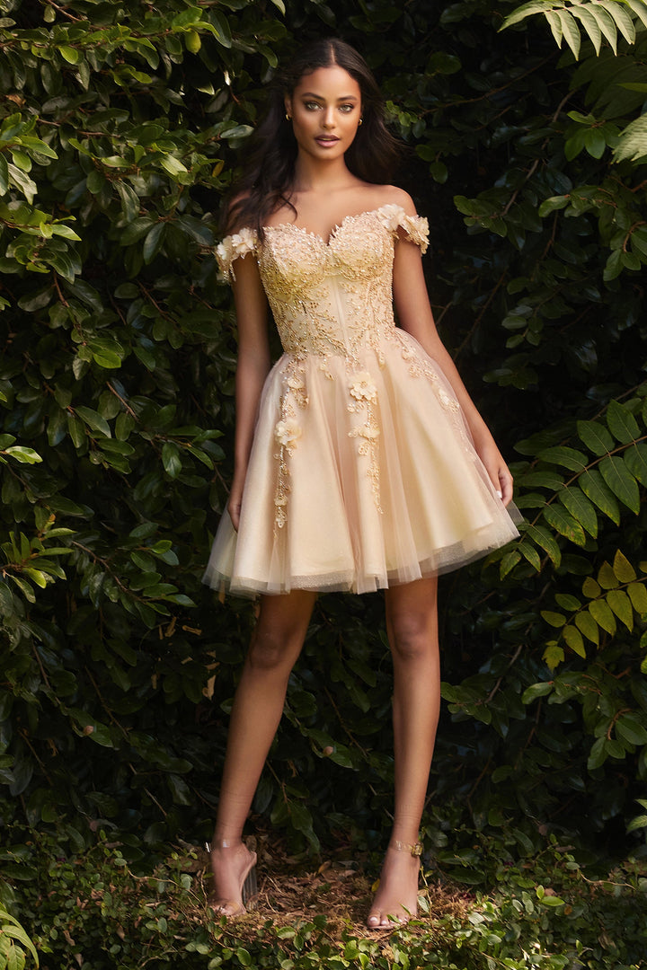 Cinderella Divine CD0194 Dress - FOSTANI